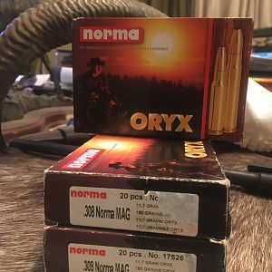 308 Norma Magnum 180 Grain Oryx Norma Ammunition