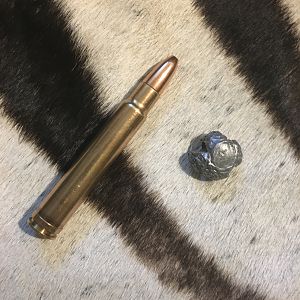 Bullet Performance