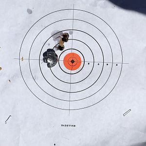 .375 Wby Rifle Shots