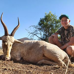 Hunting White Blesbok in South Africa