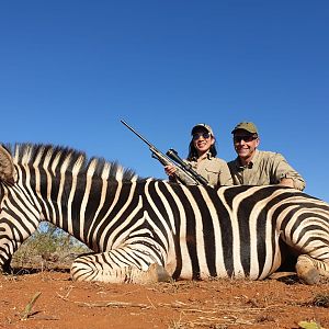 Burchell's Plain Zebra Hunt South Africa