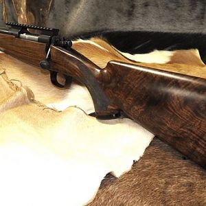 .458 B&M Rifle