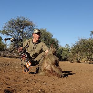 Baboon Bow Hunting South Africa