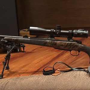 CZ550 in 30-06 Rifle