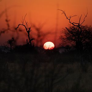 South Africa Sunset