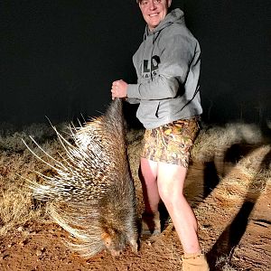 African Porcupine Hunting South Africa