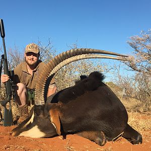 Hunting Sable in South Africa