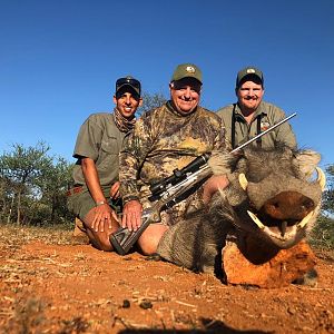 Hunting Warthog in South Africa