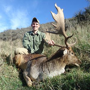 Hunting Red Stag New Zealand