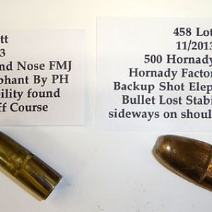 500 Hornady Round Nose FMJ & 500 Hornady DGS