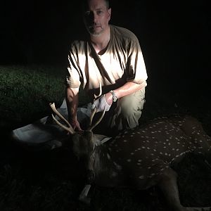 Axis Deer Hunt