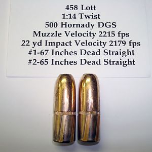 500 Hornady DGS