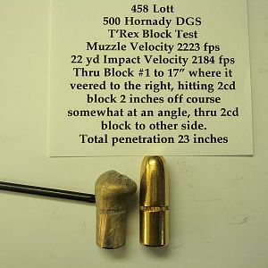 500 Hornady DGS