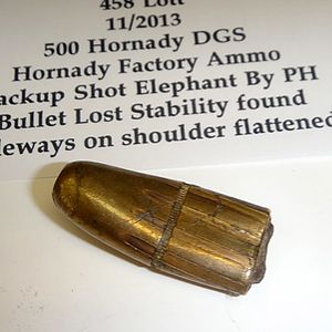 500 Hornady DGS