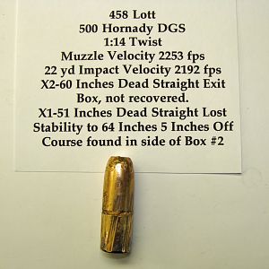 500 Hornady DGS