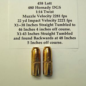 458 Hornady DGS