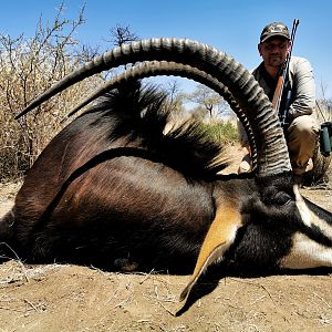 Sable Antelope Hunt South Africa