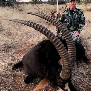 South Africa Hunt Sable Antelope