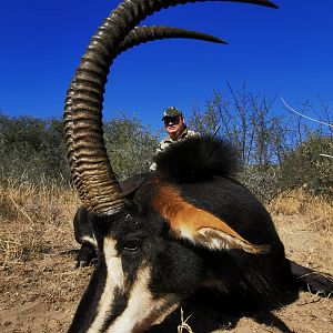 Sable Hunting South Africa