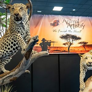 Safari Club International Convention 2020