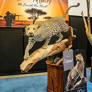 Safari Club International Convention 2020