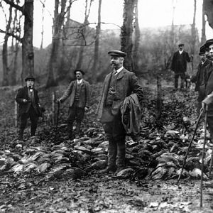 England Hunting Pheasants