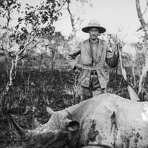 Kenya Hunt Black Rhino