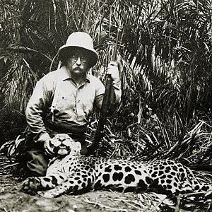 Theodore Roosevelt Hunting Jaguar