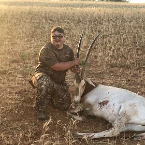 Scimitar Oryx Hunt Texas USA