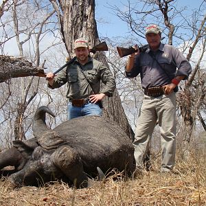 Hunt Cape Buffalo