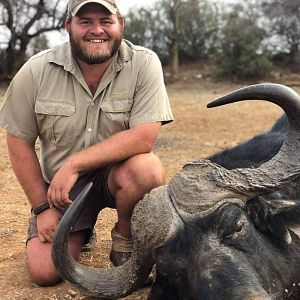 Cape Buffalo Hunt South Africa