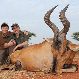 Red Hartebeest Hunting South Africa