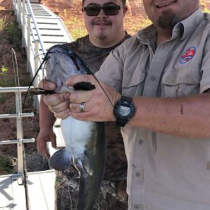 Catfish Fishing Texas USA