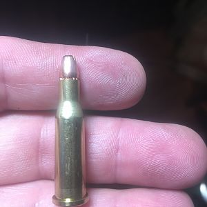 Reloaded .218 Cartridge