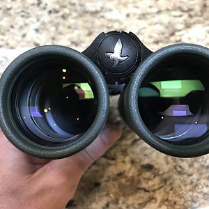 2011 Swarovski 10x42 EL SV Binoculars