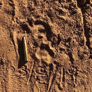 Leopard Tracks Zimbabwe