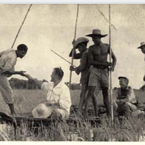 Asiatic Water Buffalo Hunting India