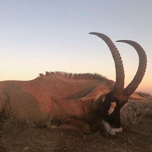 Hunt Roan in South Africa