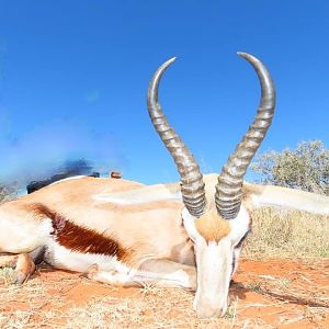 Hunting Springbok in South Africa