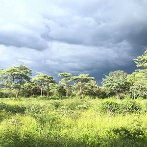 Zimbabwe Hunting