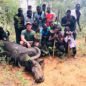 Zimbabwe Hunting Cape Buffalo Cow