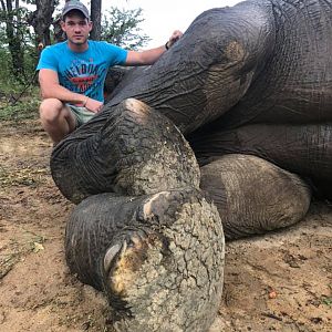 Elephant Hunt Zimbabwe