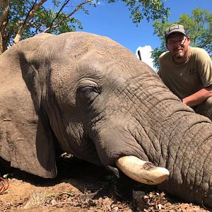 Hunting Elephant in Zimbabwe