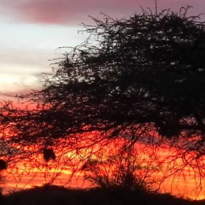 Sunset in Zimbabwe