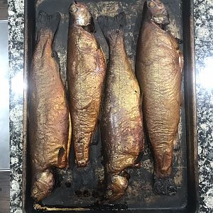 Grilled Fish