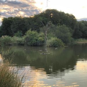 Sundowners at Monterra Safaris