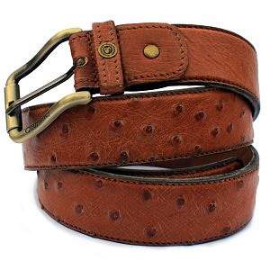 Ostrich Belt Courteney from African Sporting Creations