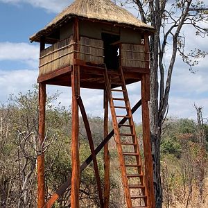 Observation towers for game management and trophy quality