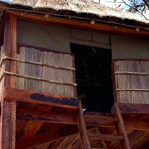 Observation towers for game management and trophy quality