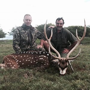 Axis Deer Hunt Argentina